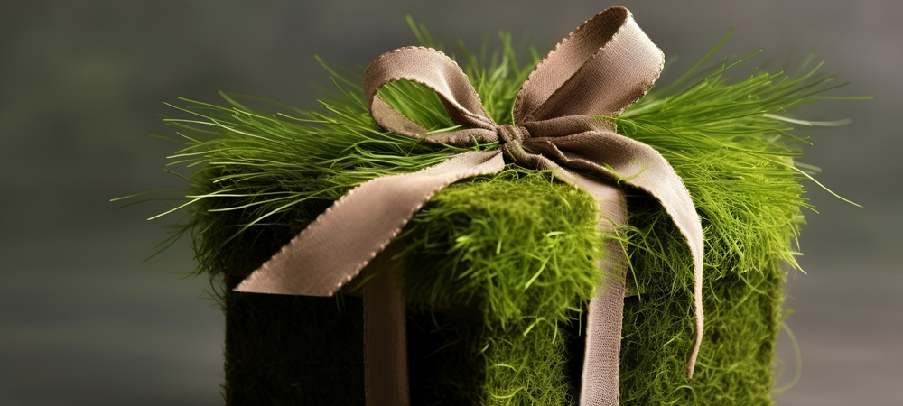 Christmas Pre-Sale