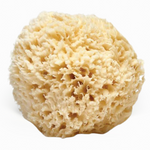 6-7" Wool Sea Sponge