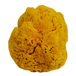 6-7" Yellow Sea Sponge - Bath & Body Fusion